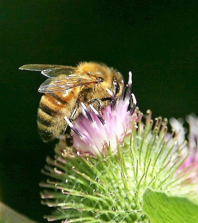 20265118_1625787347454928_5368192906595191900_n (1)