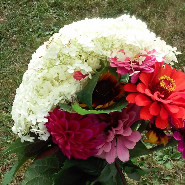 img_20180726_101236_720